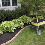 Spring Landscaping