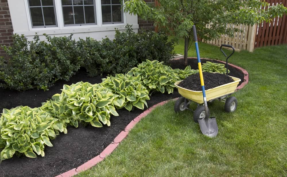 Spring Landscaping