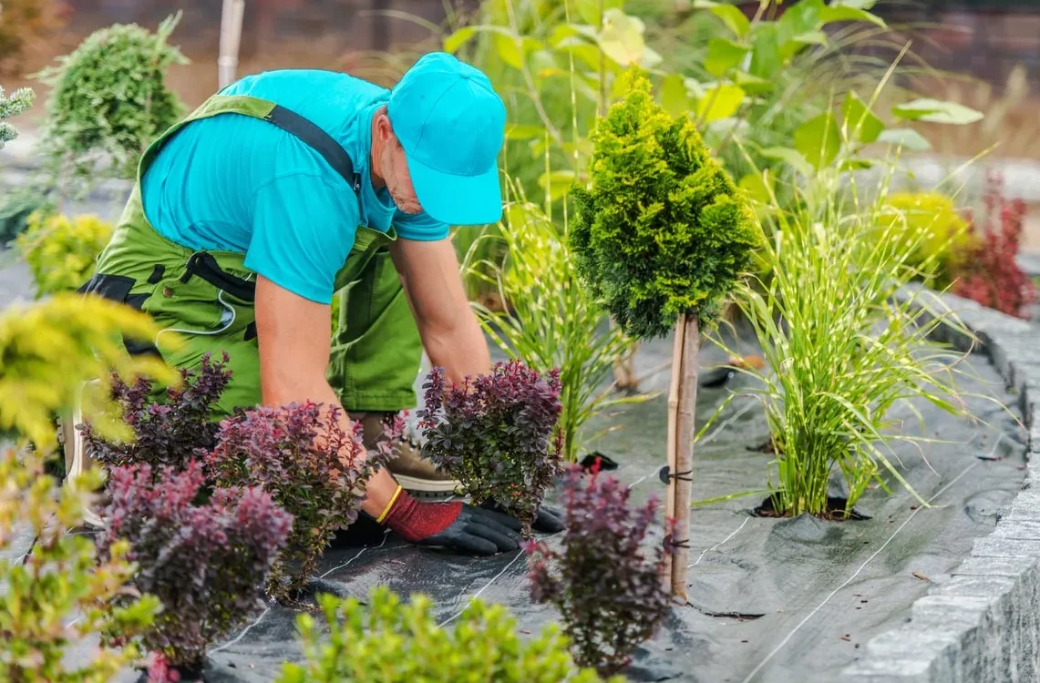 Professional Hardscaping