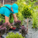 Professional Hardscaping